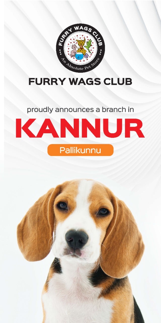 FURRY WAGS CLUB(An Absolute Pet Store)